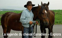 La légende du cheval Canadien – Explora